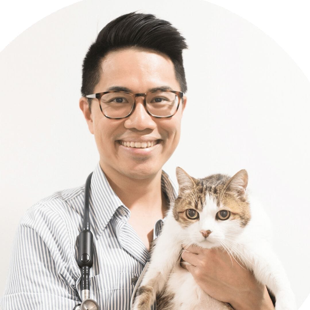 Dr Chris Lam