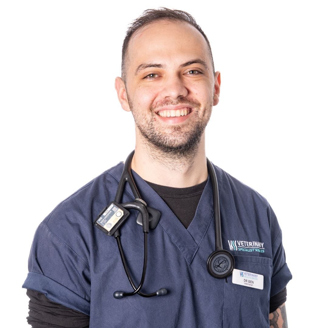 Dr Ben Hooper