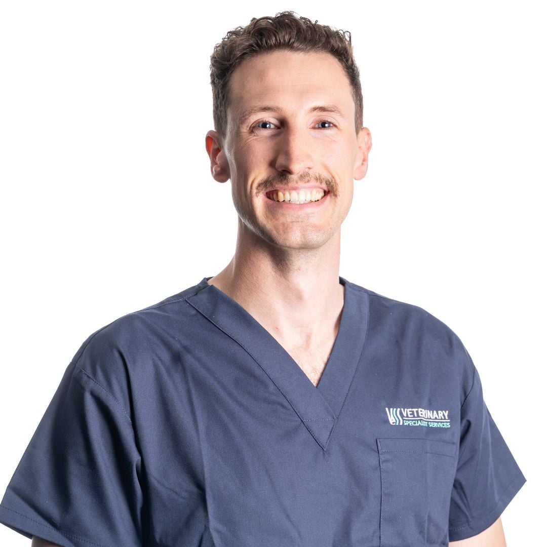 Dr Wendy Archipow