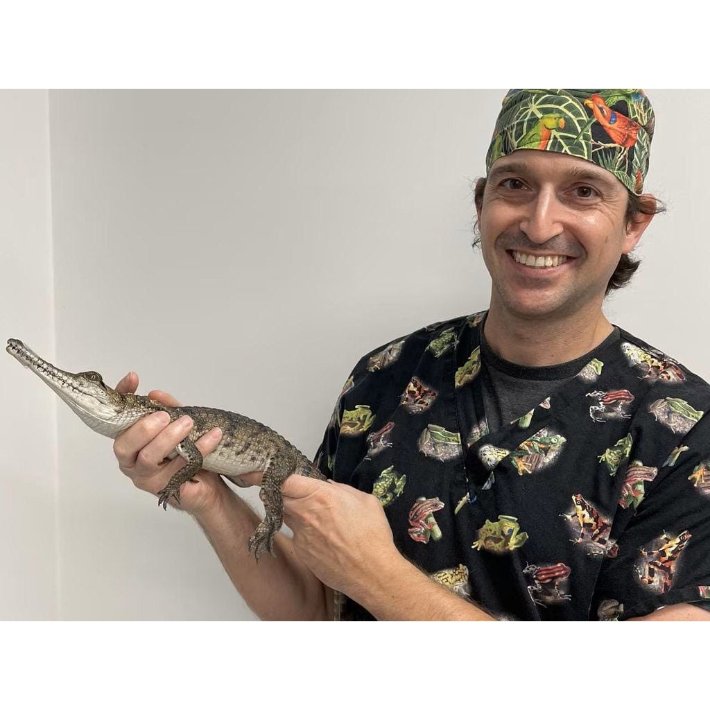 Dr Josh Linas Dr Josh Linas