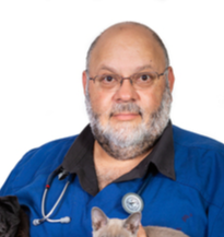 Adj. Prof. Philip Moses, Specialist Small Animal Surgeon at VSS