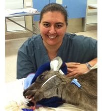 Dr Sarah Bigby, Specialist Veterinary Anaesthesia