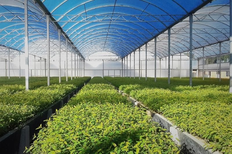 Airflow in greenhouses