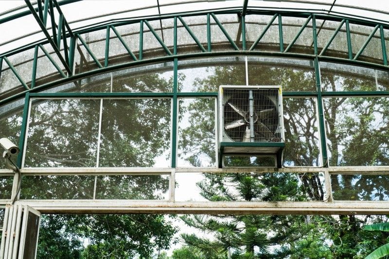How to Build Your Greenhouse's Perfect Ventilation System