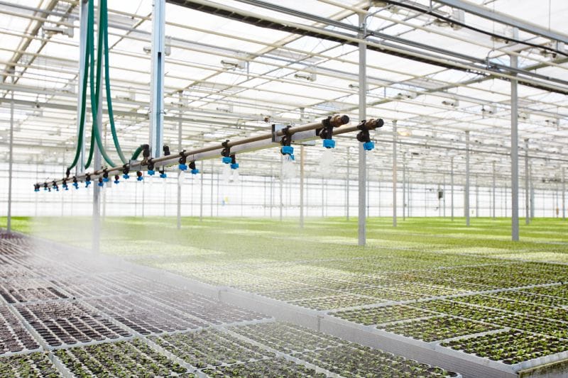 Best Practices for Sustainable Water Management in Greenhouses