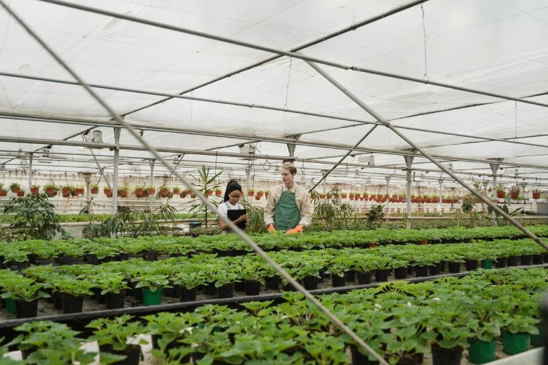 The Science Behind Greenhouse Climate Control and Its Impact on Crops