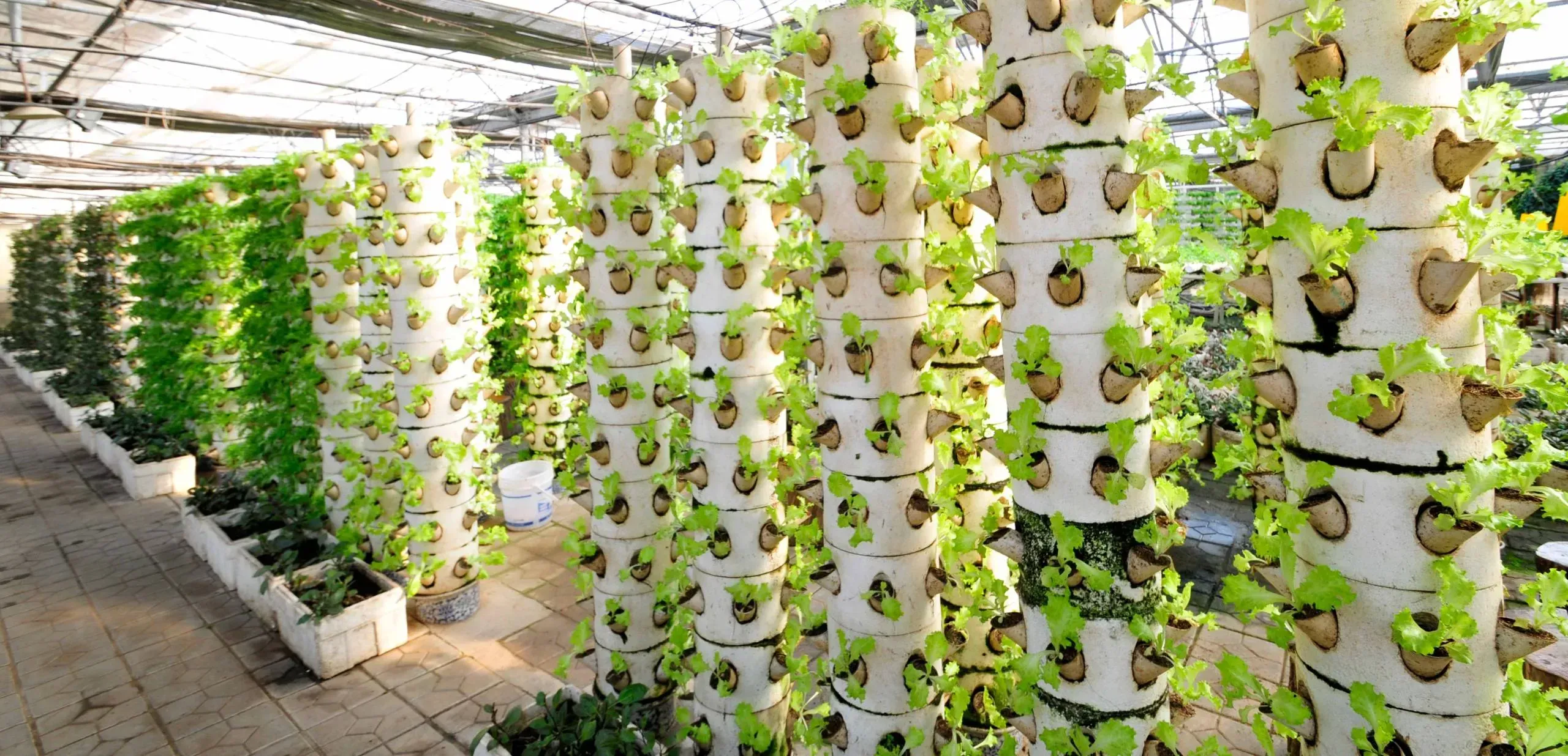 Next‑Gen Greenhouse Climate Control: Trends, Automation & Sustainability