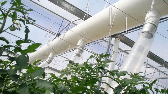 Commercial Greenhouse HVAC Systems in Canada: The Complete Guide for Growers