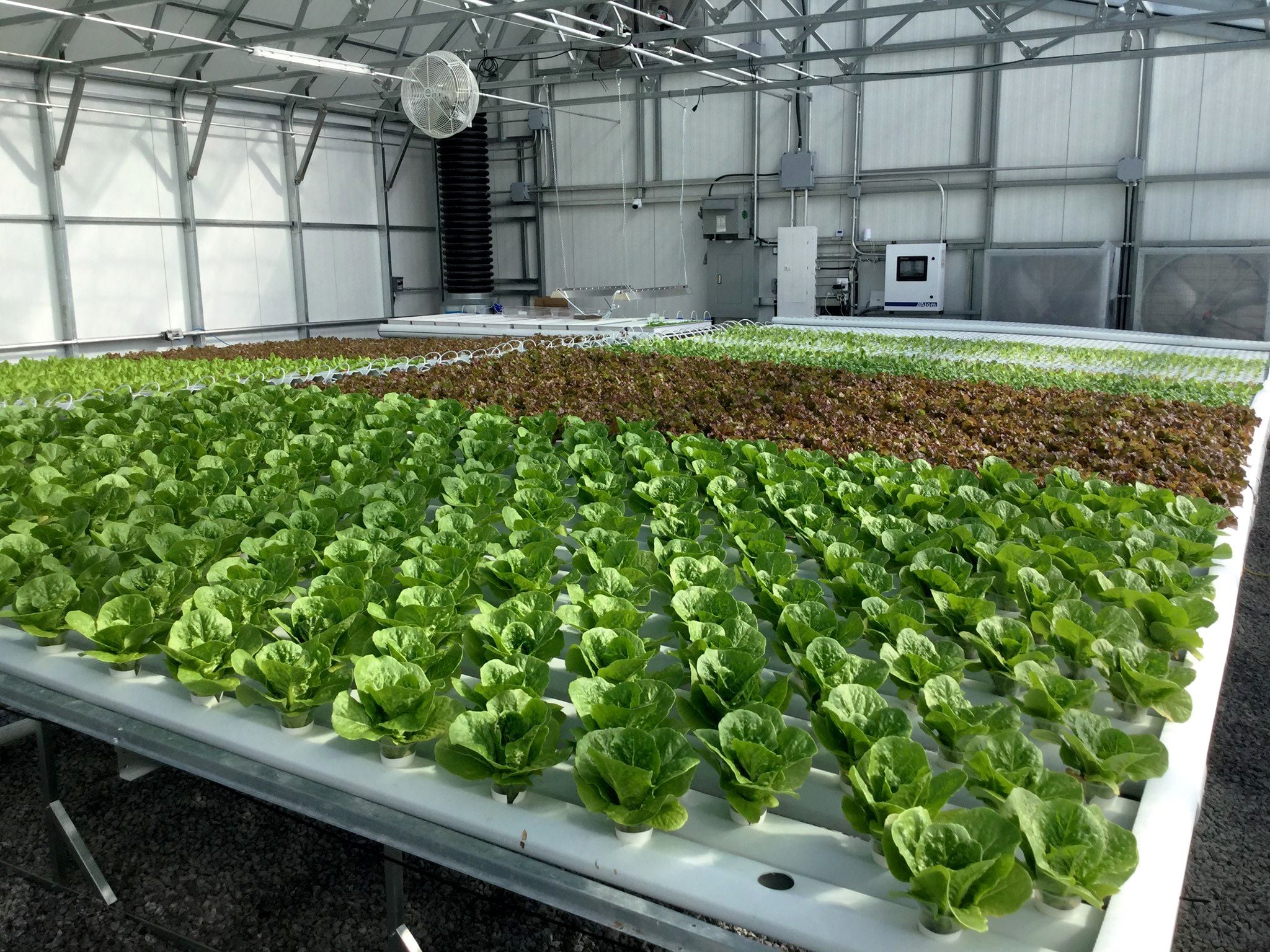 Commercial Greenhouse HVAC Systems Canada: A Complete Guide for Modern Greenhouse Operations