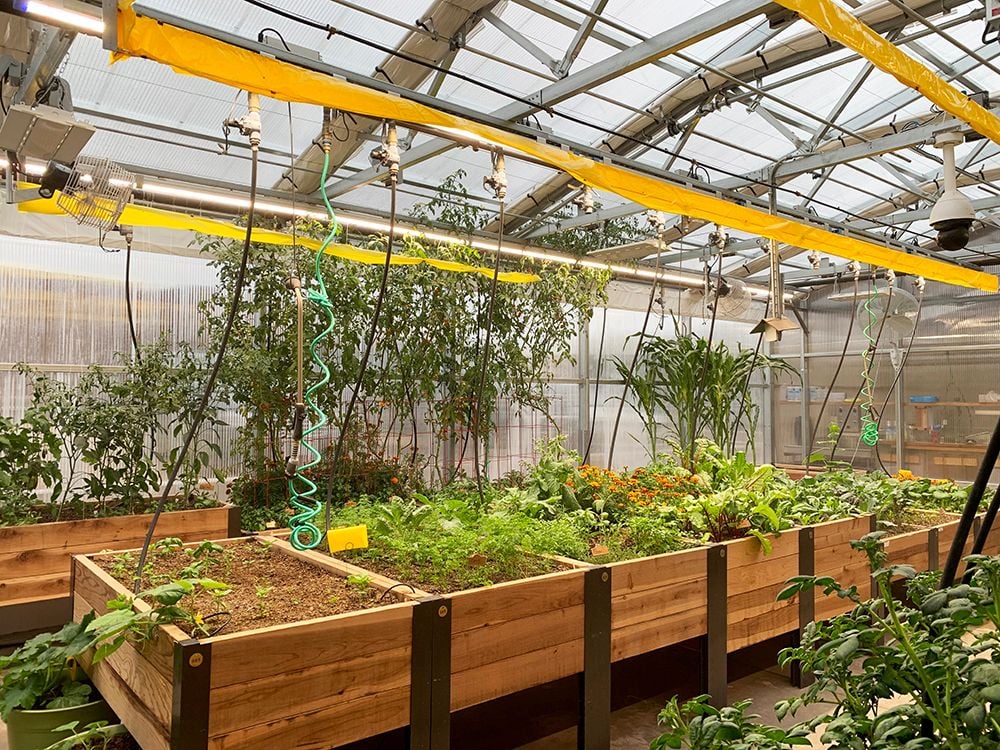 Greenhouse Dehumidification and Energy Efficiency: A Complete Guide for Commercial Growers