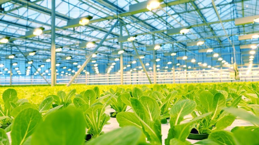 Greenhouse HVAC System Design for New Builds: What Engineers and Growers Must Get Right