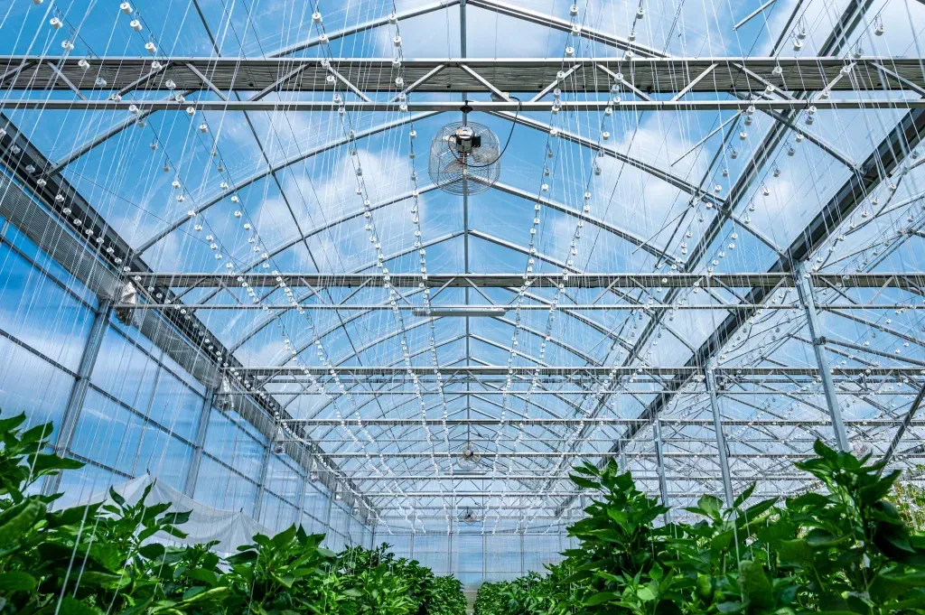 Reducing Greenhouse Operating Costs: HVAC Strategies That Deliver Real ROI
