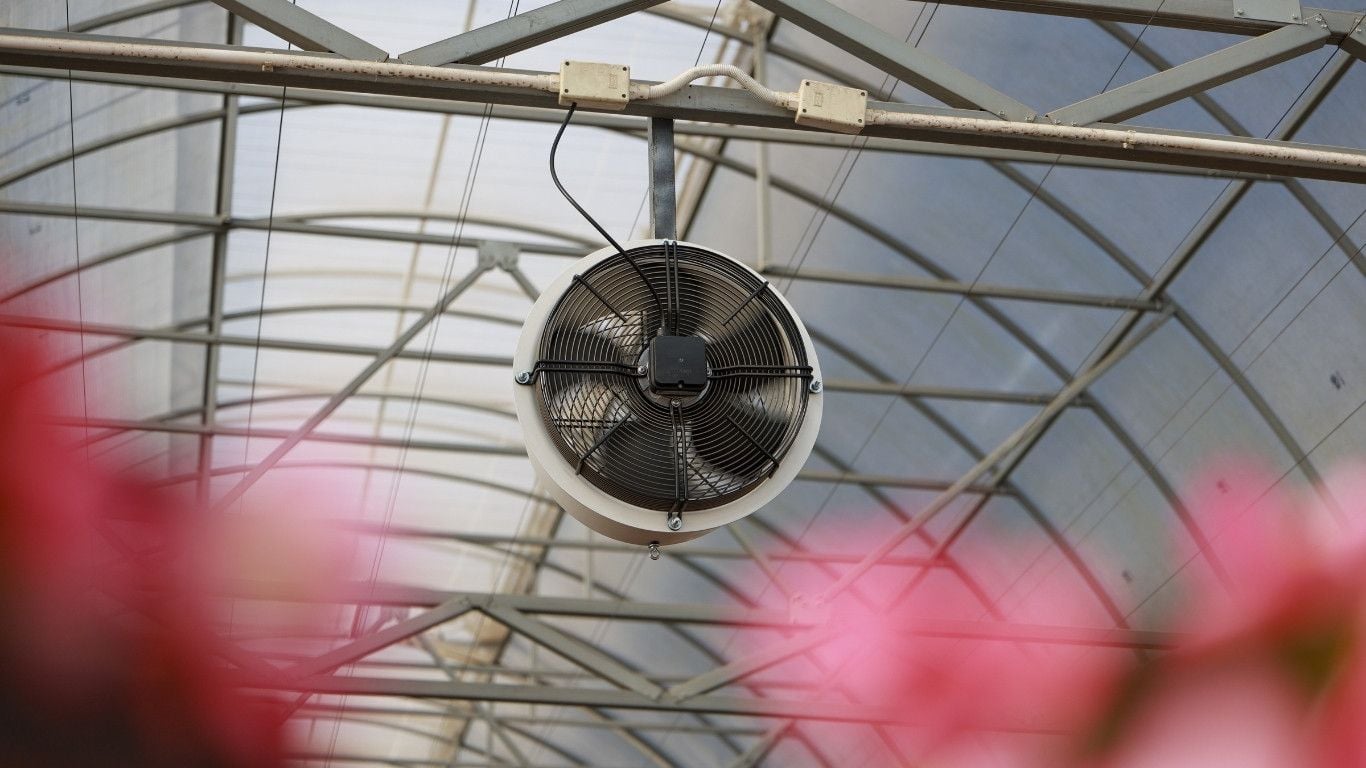 Greenhouse Air Circulation Systems: How to Eliminate Hot Spots and Protect Crop Uniformity