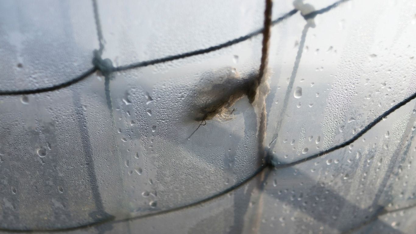 Greenhouse Condensation Control: How to Prevent Dripping, Disease and Crop Loss