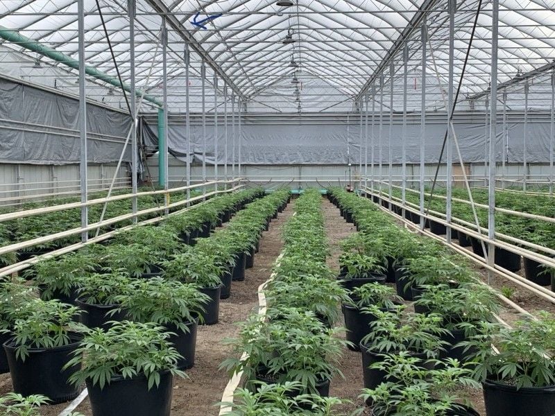 Commercial Drying Gallery Image -60254faa28408