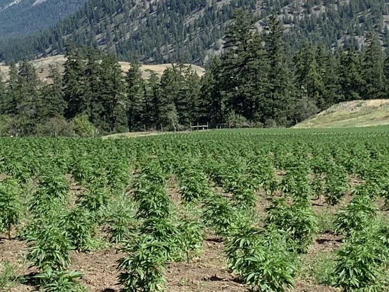 Commercial Drying Gallery Image -60254faac5eee