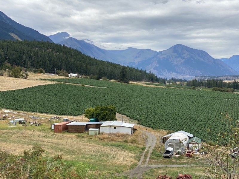 Commercial Drying Gallery Image -60254fab69605