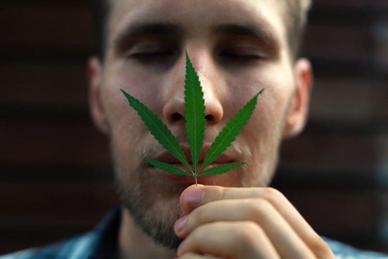 Navigating Cannabis Scent Regulations | Cannabusters