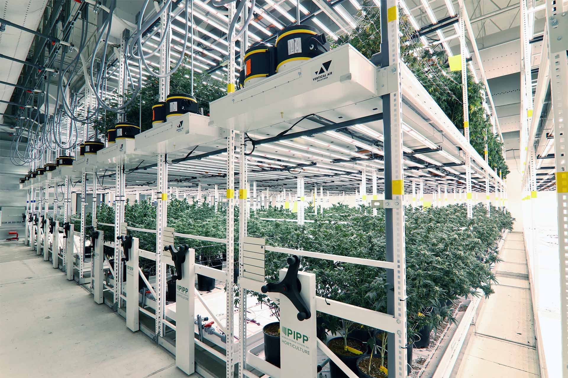 Top Cannabis Growing Equipment for Ontario Growers in 2025