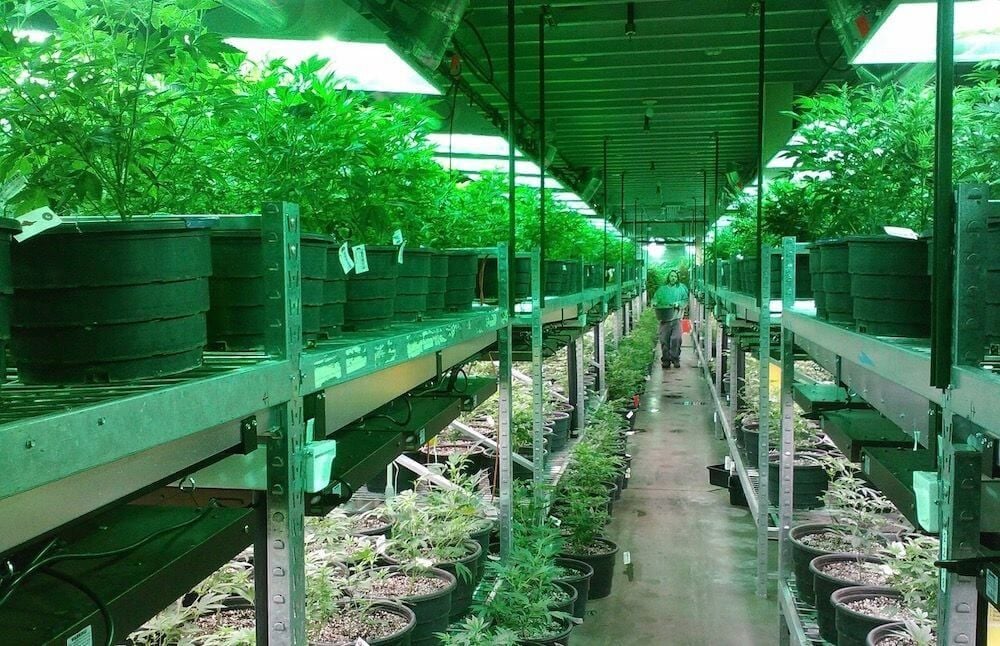 Comparing Odor Control Technologies: Oxidation vs Carbon Filters vs Masking Agents