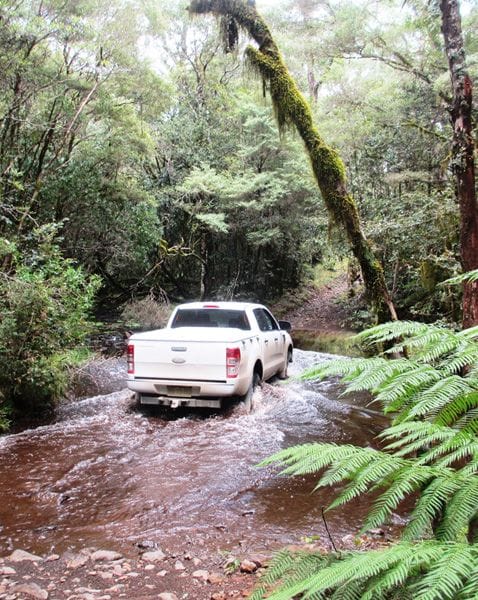 Forest Creek Crossing - 4WD Guided Tours