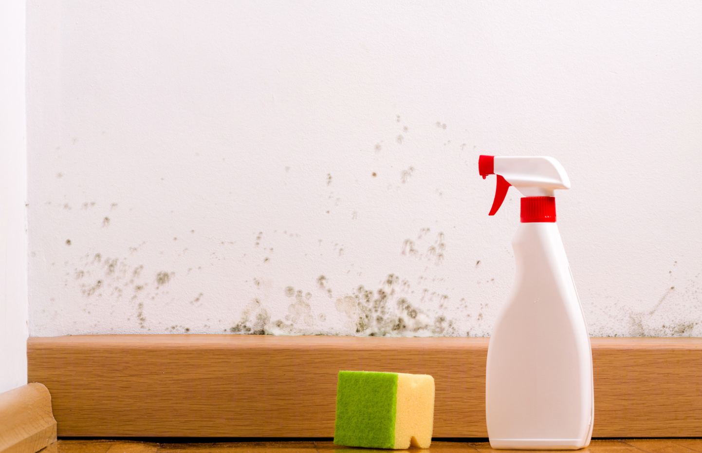 Is mould bad for my health? What are the symptoms of mould exposure?