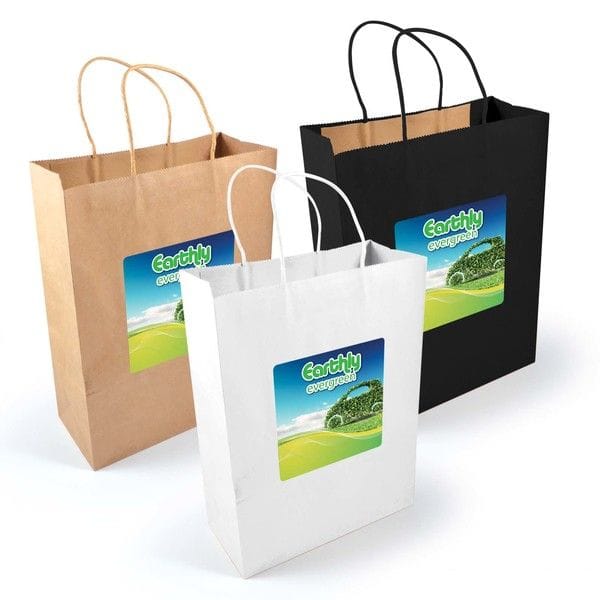 Customisable Express Paper Bag