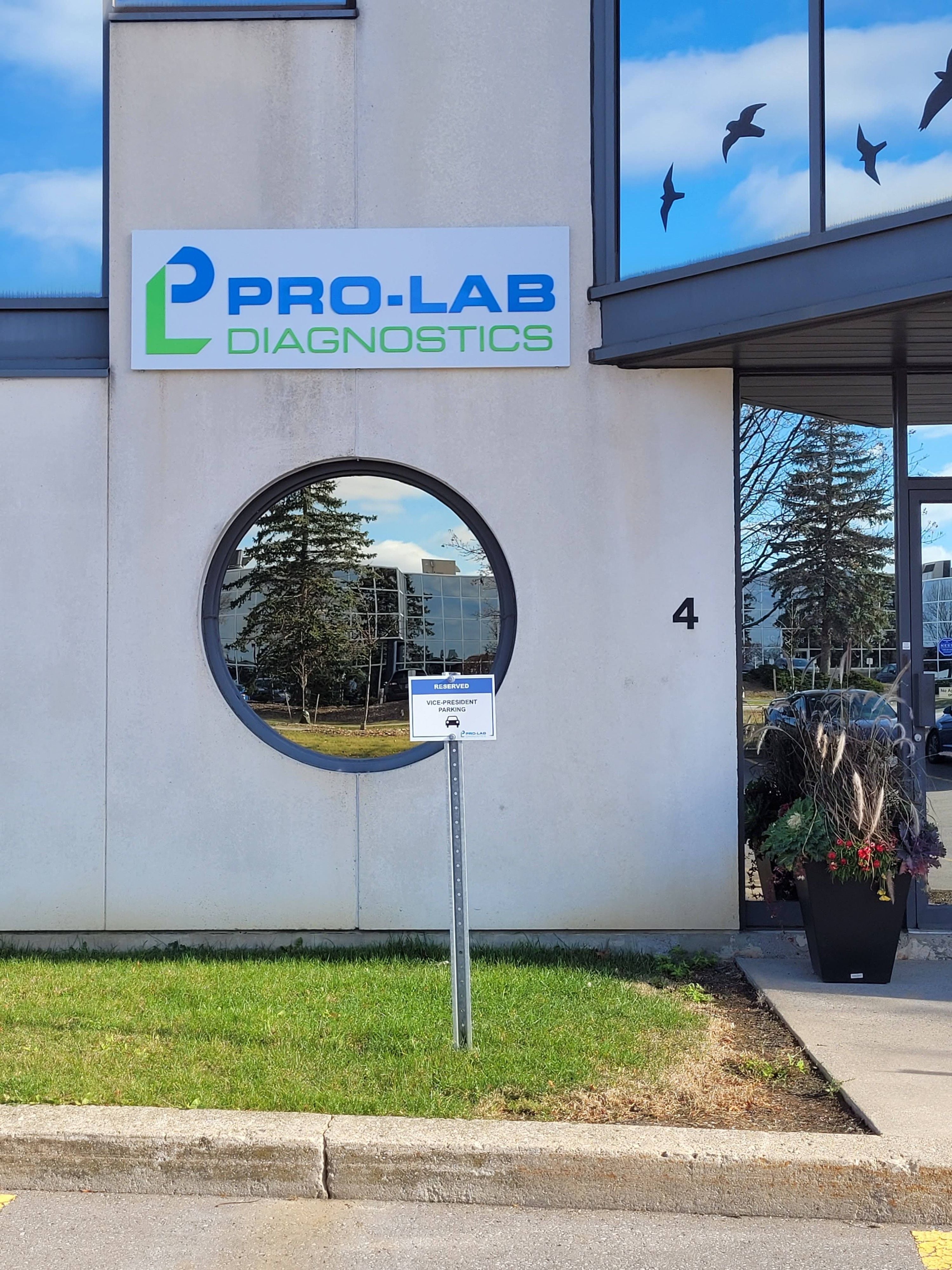 Large Format Image -6988baa43e9d5