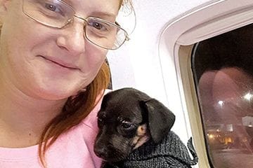 GTA PUPPY RESCUER ENDURES 26 HOURS OF DETENTION HELL IN AIRPORT