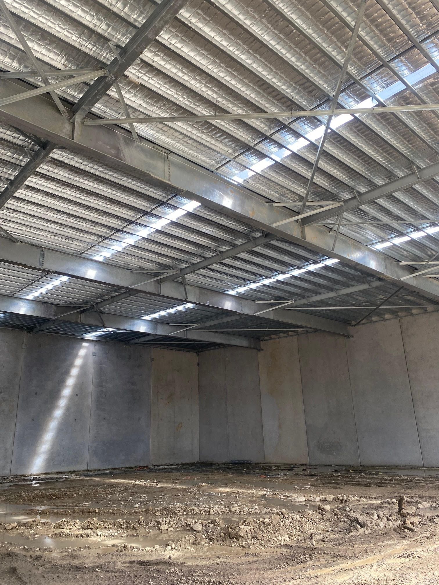 Yatala Image -6863664e169e6