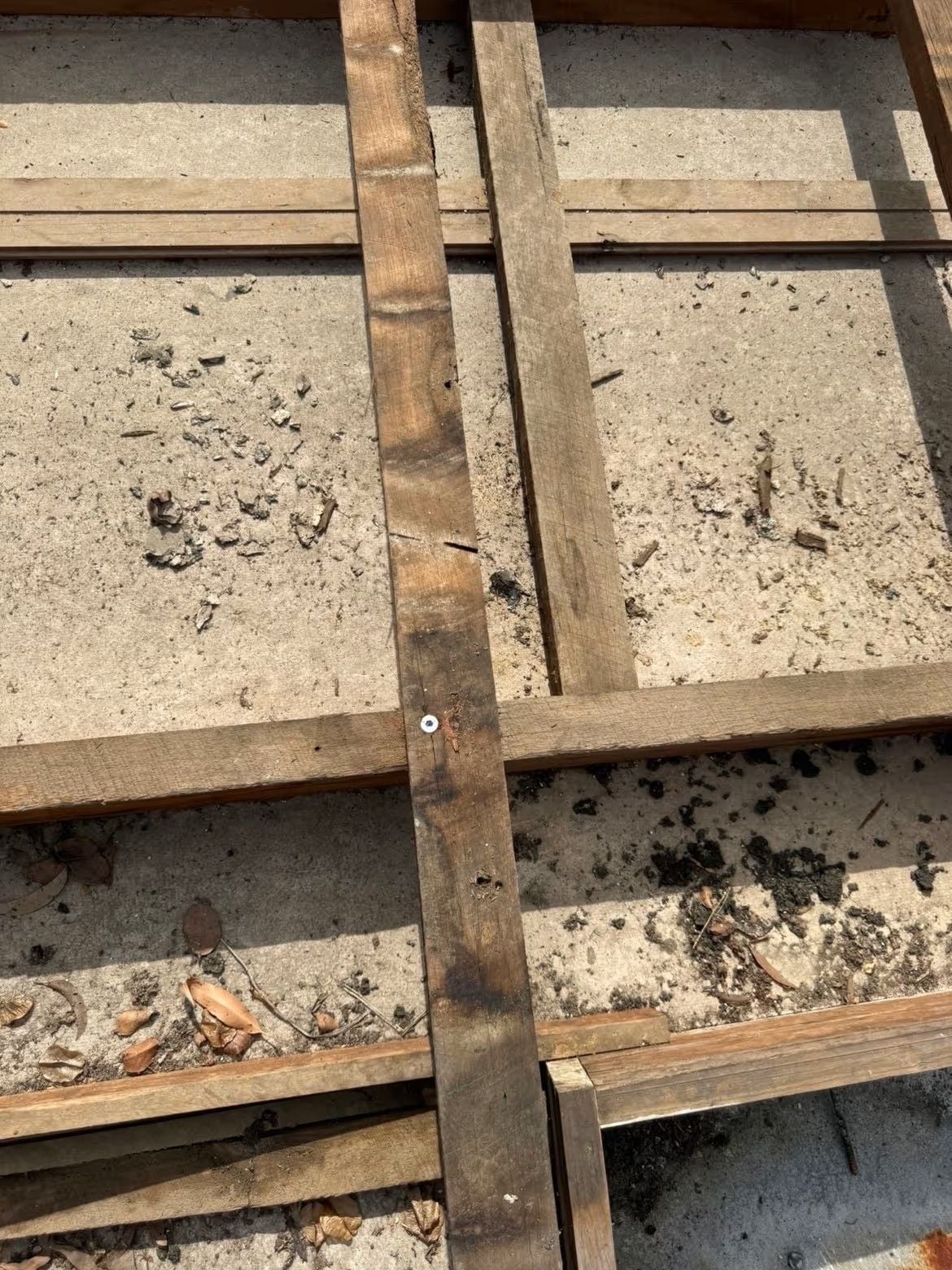 Gold Coast Asbestos Image -69aa5d8dc0770