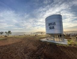 Silo Green Bushes