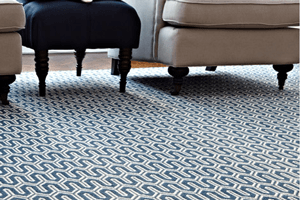 Carpet Image -634ec543b47ce