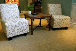 Carpet Image -634ec54467a59