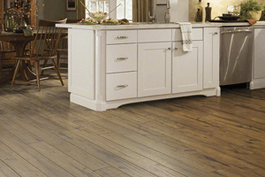 Laminate Image -63500fb59ced9