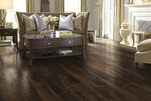 Laminate Image -63500fb6e4448