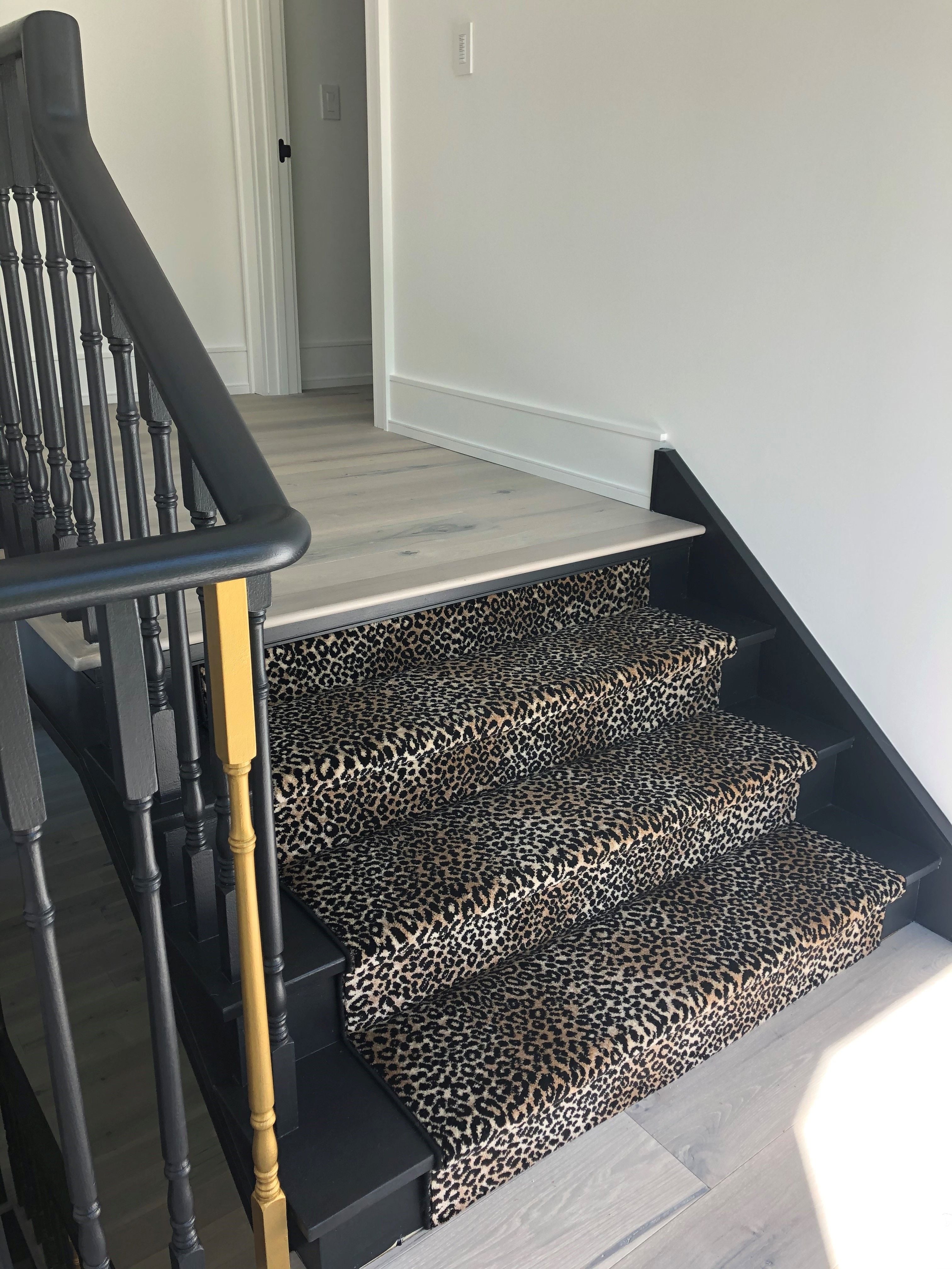 Carpet Image -63518347084f3