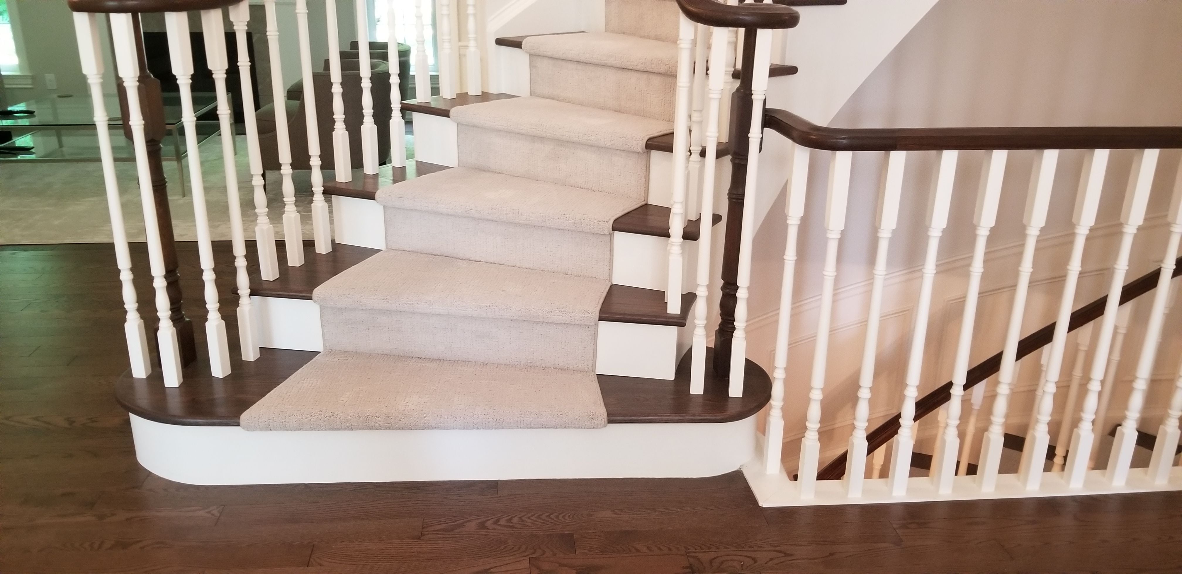 Carpet Image -63592da036a49