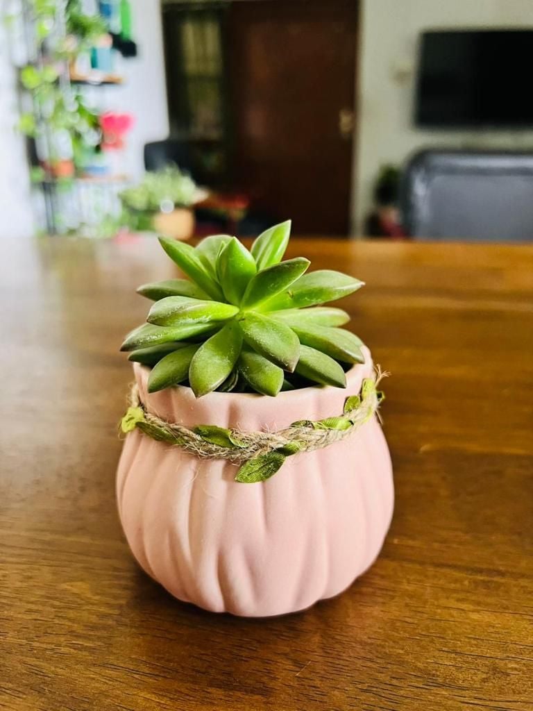 Customised Gifts for all Ocassions Party gifts