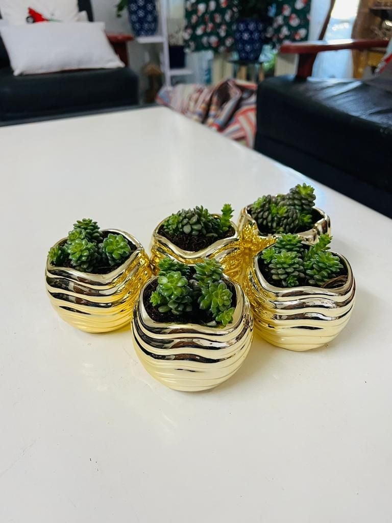 Customised Gifts for all Ocassions Party gifts