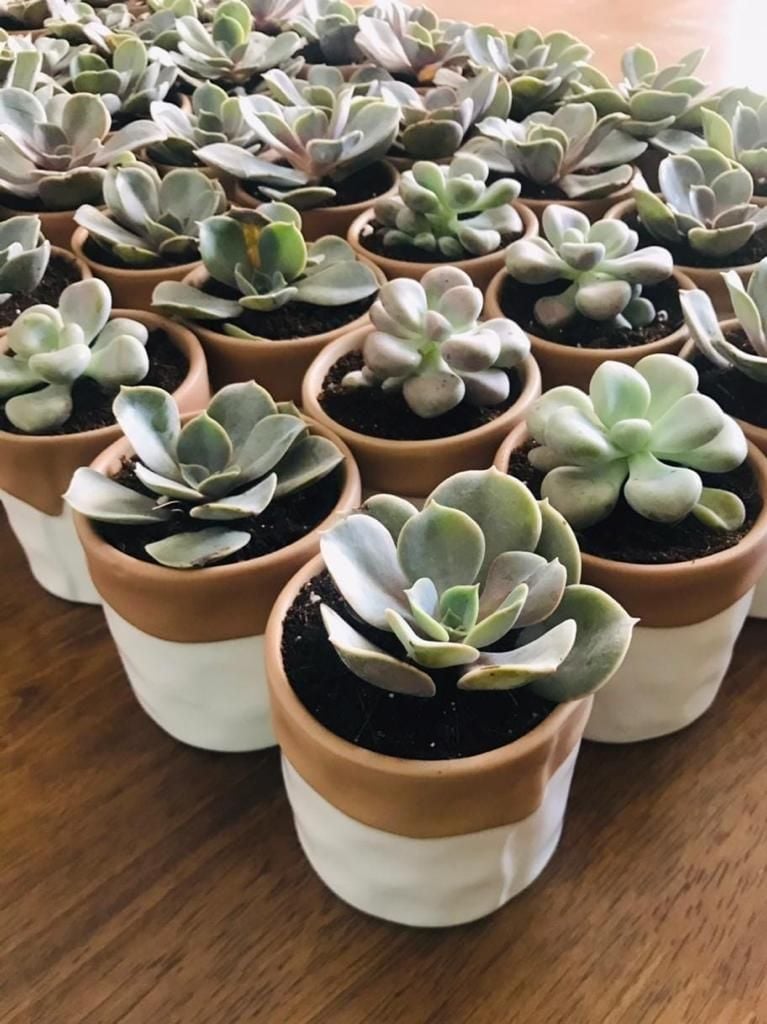 Customised Gifts for all Ocassions Party gifts