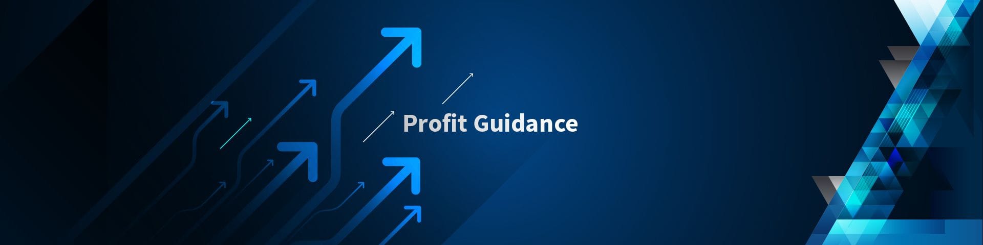 Profit Guidance 01 November 2022