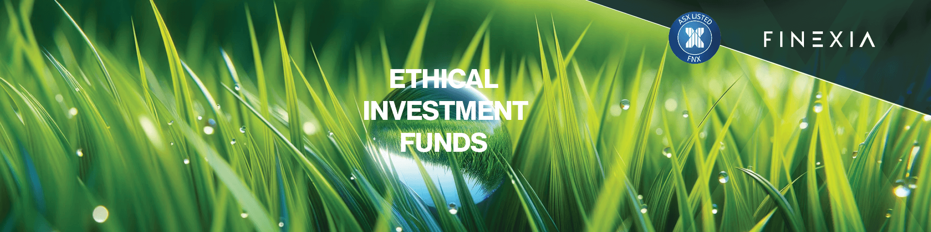 Ethical Investment Funds: Harnessing Financial Power for Good Ethical Investment Funds: Harnessing Financial Power for Good