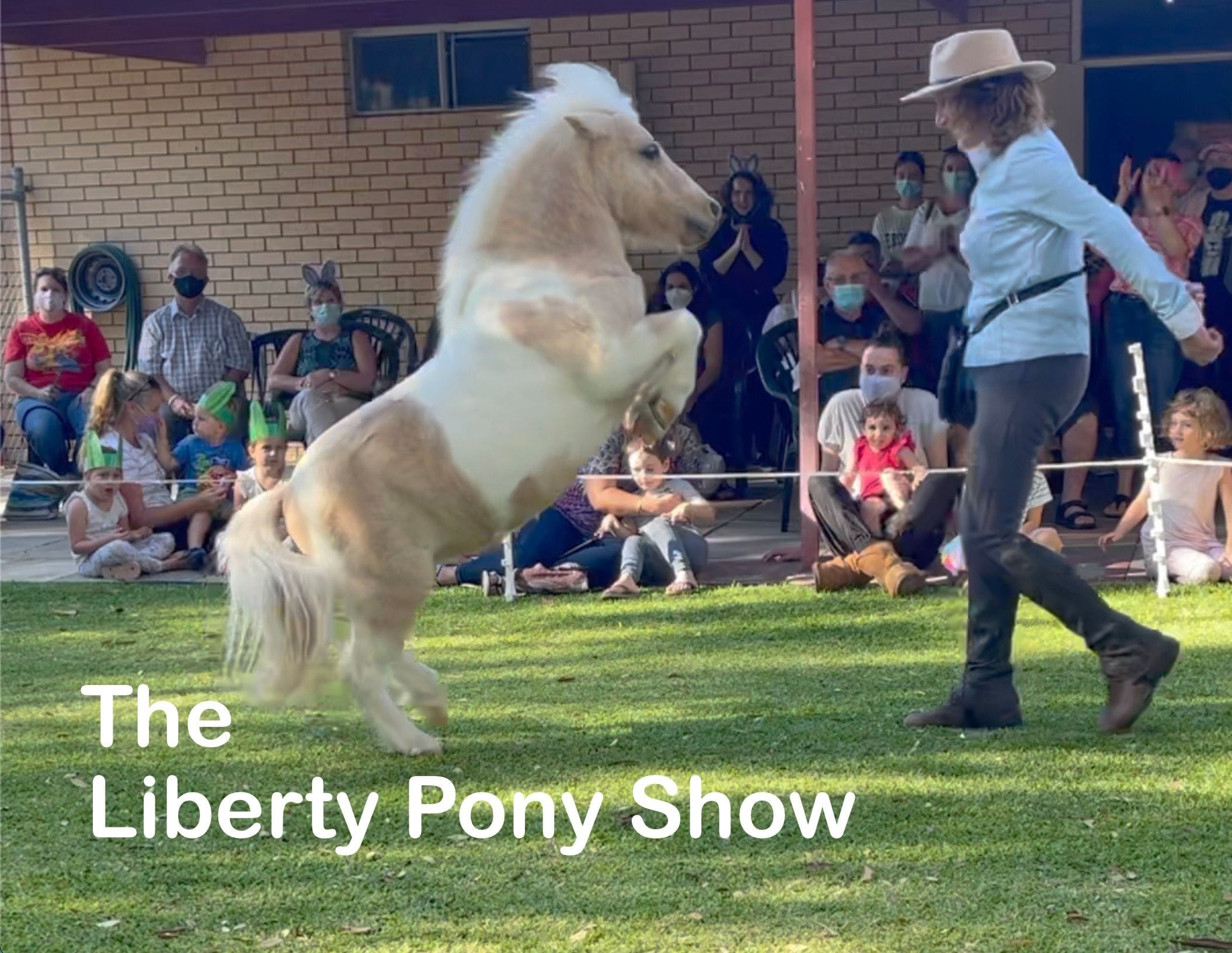 Toti the Liberty Pony