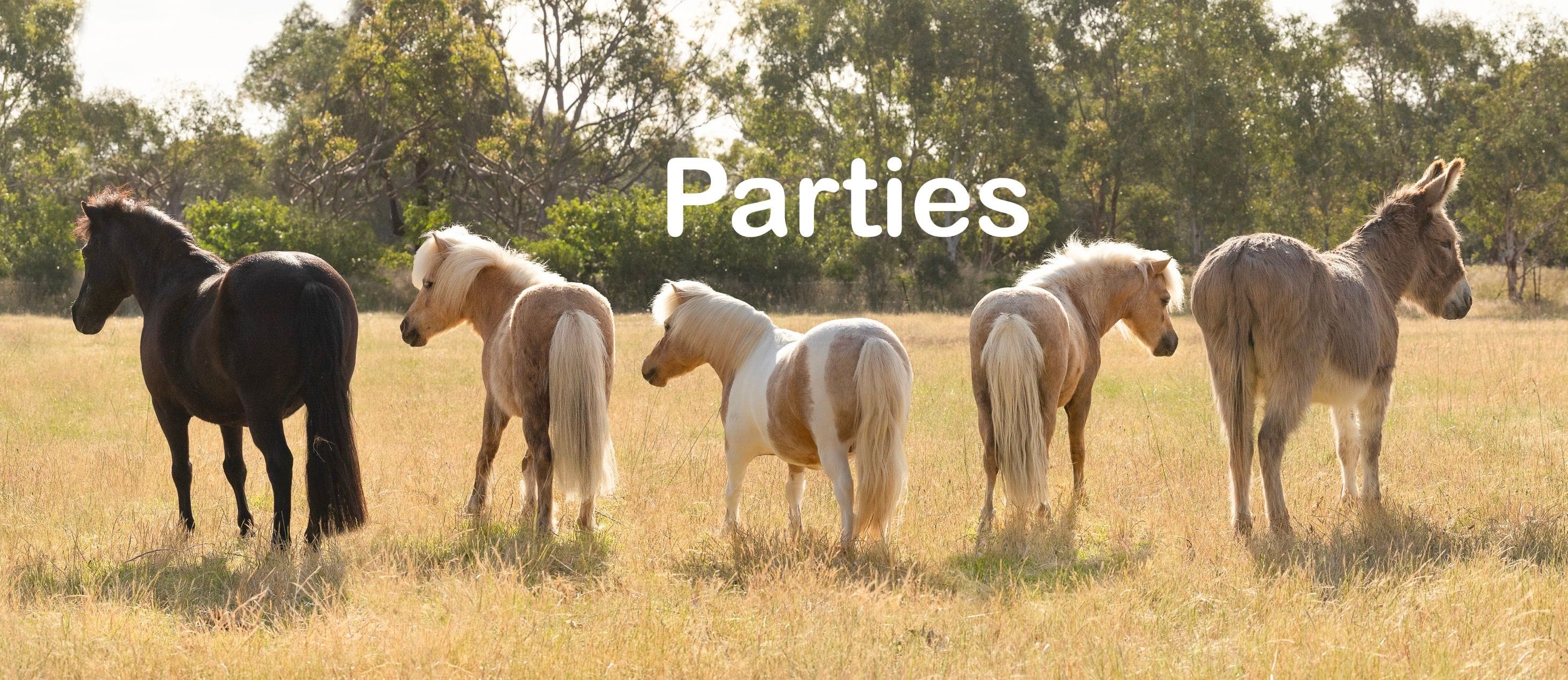 Ponies for Parties