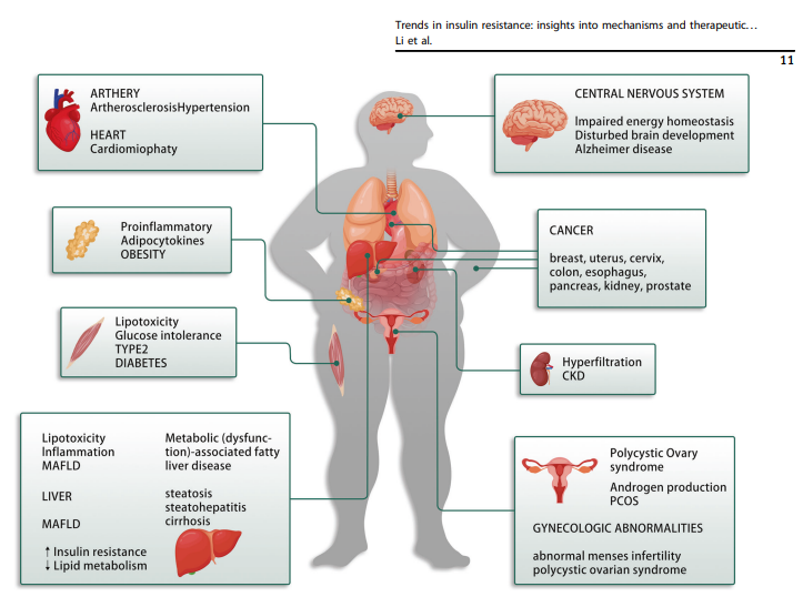 Insulin resistance hormones and weight loss