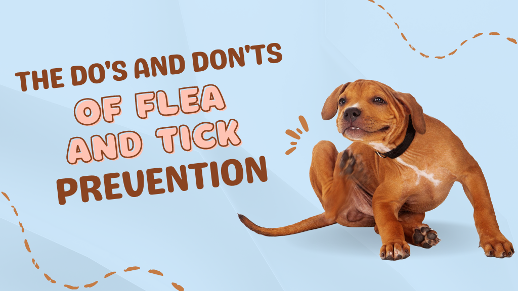 Flea and Tick Prevention: Do’s and Don’ts for Pet Owners