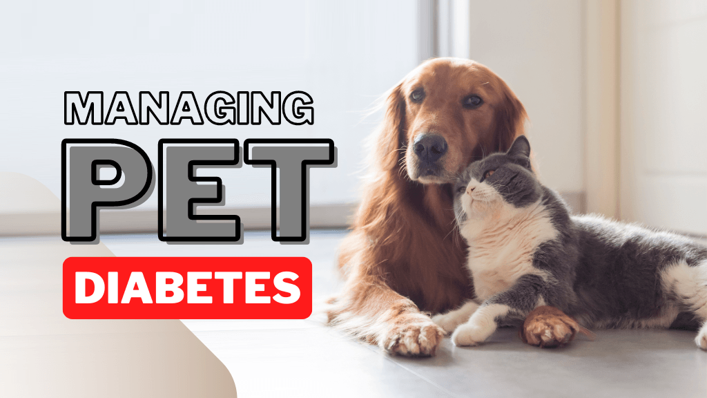 Recognising and Managing Pet Diabetes Recognising and Managing Pet Diabetes