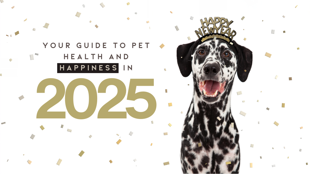 A Year of Pawsitive Change: Your Guide to Pet Health and Happiness in 2025