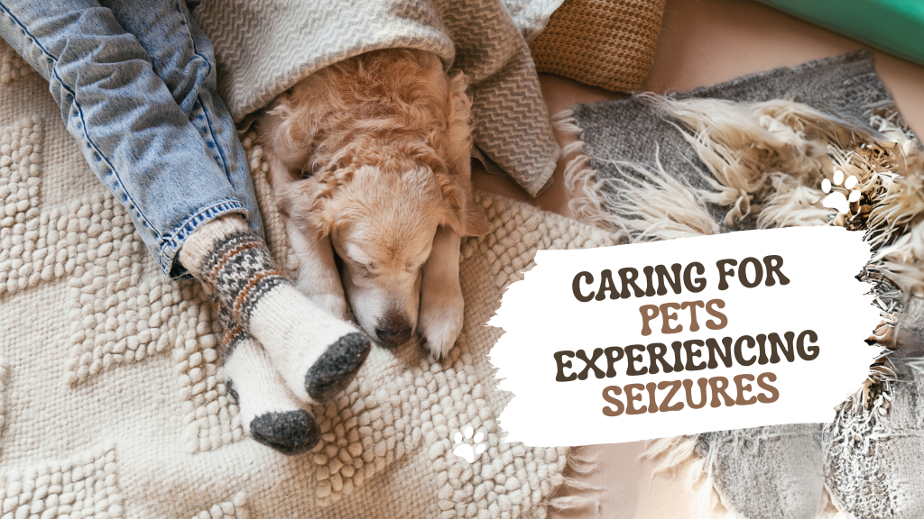 Caring for Pets Experiencing Seizures